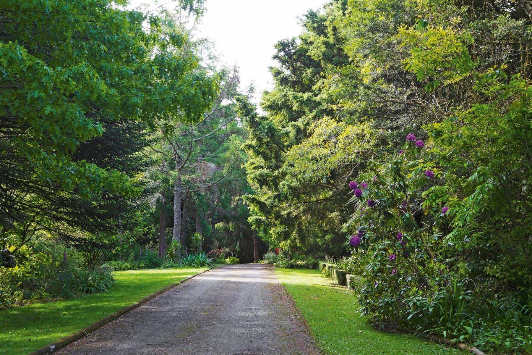 فيلا Tepopo Gardens Rural Retreat ستراتفورد المظهر الخارجي الصورة